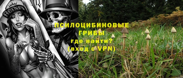 хмурый Абаза