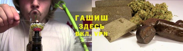 хмурый Абаза