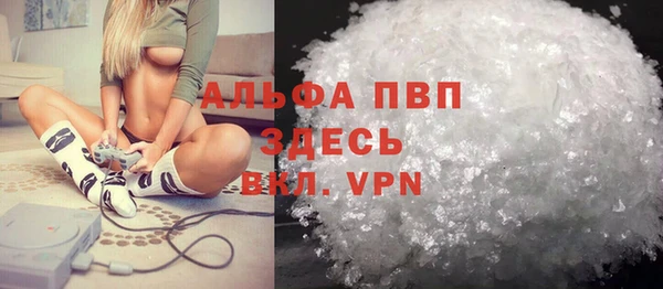 хмурый Абаза